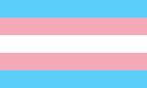 Banyak Terjadi Kasus Karena Tidak Diterimanya Transgender